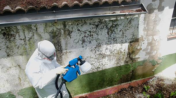 Trusted Commercial Mold Remediation service in Reedville, VA - Cheap Mold Removal